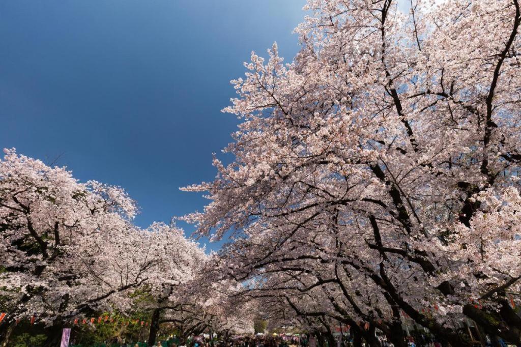 Forest Hongo Hotel Tokio Exterior foto